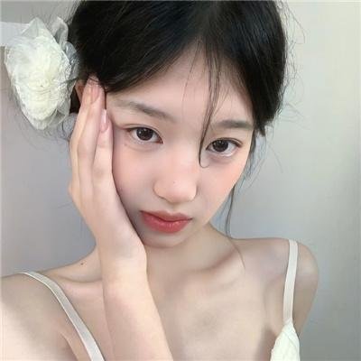 忍冬玫瑰